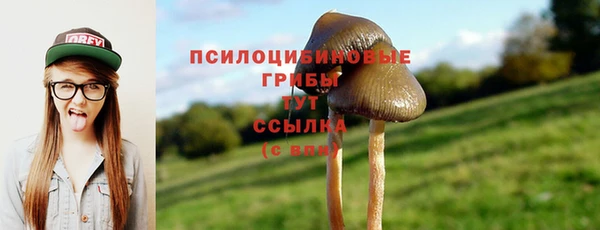 МДМА Мегион